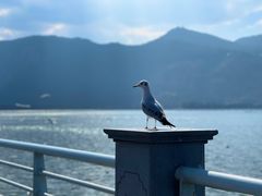 -海埂大坝