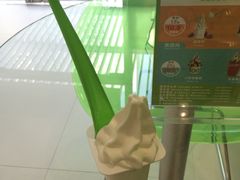-Salud撒露欧洲冻酸奶(北苑上品店)