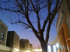 -龙湖星悦荟(颐和店)