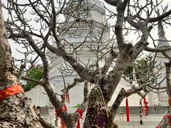 -西双版纳傣族园