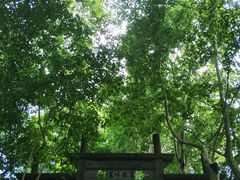 -杭州黄龙洞