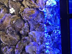 -千家粗粮王海鲜牛排自助餐(西宁海湖万达广场店)