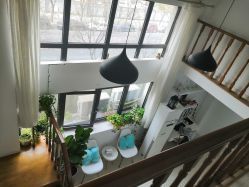 -安那般那皮肤年轻化ANAPANA