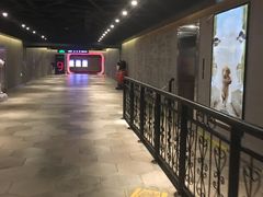 -奥斯卡国际影城(杜比全景声&4D激光店)