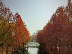 -厦门园林博览苑