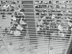 -中央广播电视总台(光华路办公区)