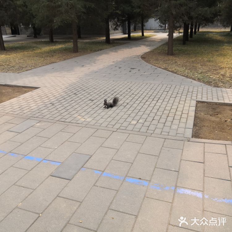 门票价格  公园分淡旺季。旺季联票28元