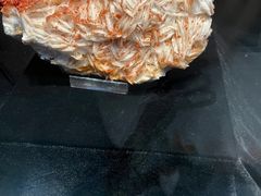 -中华赏石园