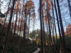 -黄兴公园