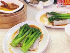 -龙的酒楼·手工早茶·顺德菜(近良路店)