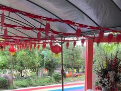 -麻涌飞鸭开心农场