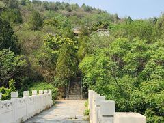 -白水寺森林公园