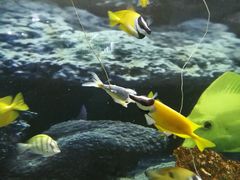 -泉州海丝野生动物世界