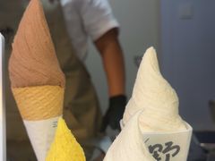-野人先生现做冰淇淋(北京顺义祥云小镇店)