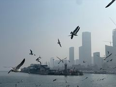 -东港音乐喷泉广场