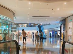 -云海肴·汽锅鸡·云南代表菜(东坝金隅店)