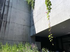-中国湿地博物馆