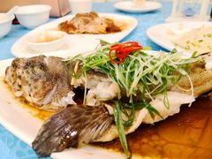 -御唐府海珊瑚主题餐厅