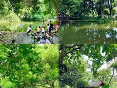 -成都市活水公园