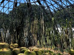-深圳仙湖植物园