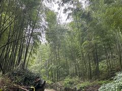 -会稽山峡洞漂流-上青古道