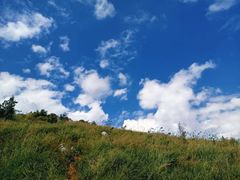 -长虫山生态公园风景林