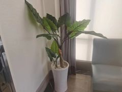 -湖锦酒楼·30年经典湖北菜(沌口店)