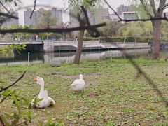 -同济大学(嘉定校区)