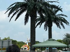 -上海玛雅海滩水公园