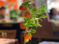 -新辣道鱼火锅(航天万源店)