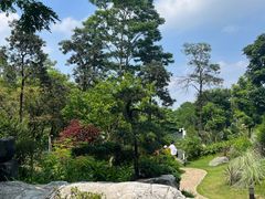 -东莞植物园
