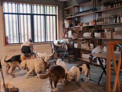 -萌喵咖啡屋(人民东路4号口M16商铺店)