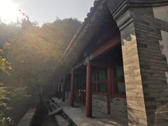 -北京鹫峰国家森林公园