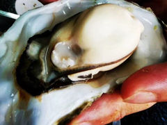 -沿海渔家院蒸汽海鲜·东北菜(东戴河店)