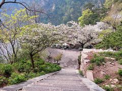 -泰山风景名胜区
