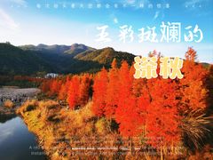 -小芝红树林
