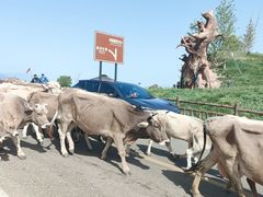 -新疆那拉提国家旅游度假区