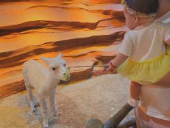 -酷嗒动物文化乐园(cutezoo西溪乐天城店)