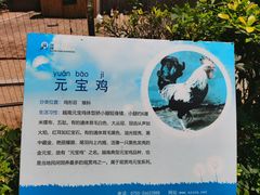 -深圳野生动物园