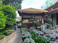 -山菌美食苑(振兴路店)