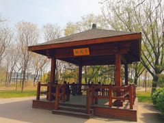 -大兴滨河森林公园