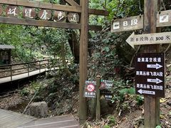 -西双版纳原始森林公园