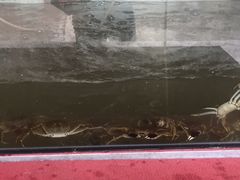 -乡乐园蟹庄·阳澄湖农家乐