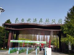 -黄海国家森林公园