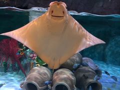 -沈阳海洋探索中心