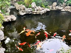 -鲤院·新中式美学·庭院餐厅(夫子庙店)