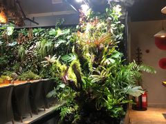 -森味薪火烧•烧鸟居酒屋•日本料理(望京店)