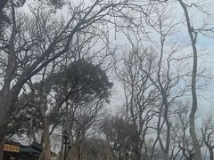 -西湖游船