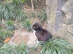 -静安公园(静安寺街道)