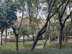 -深圳市儿童乐园